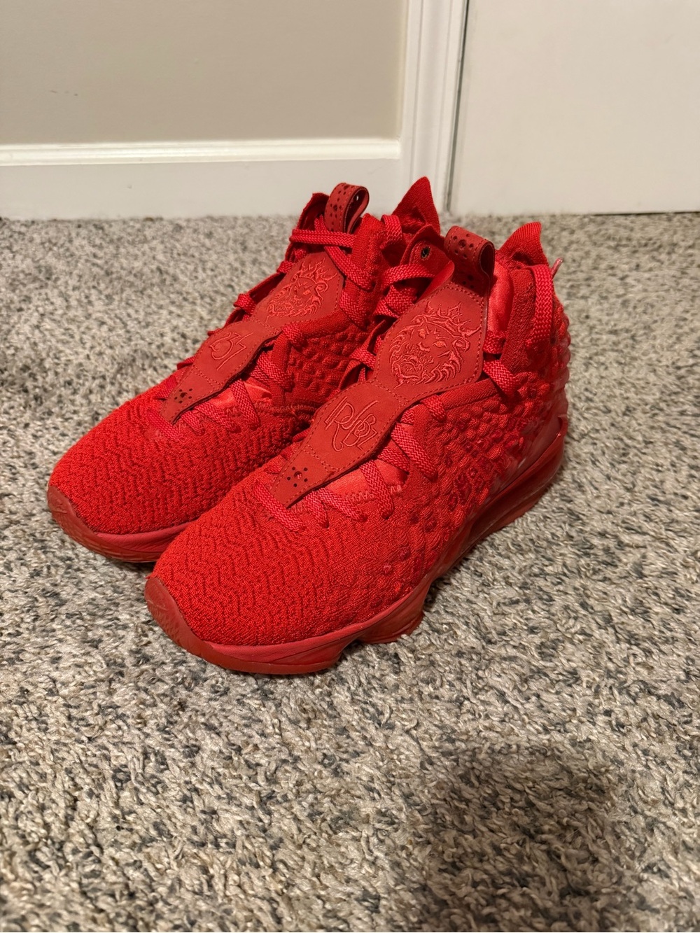 Used Lebron 17 basketball shoes